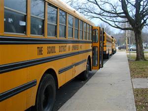Empty Buses 